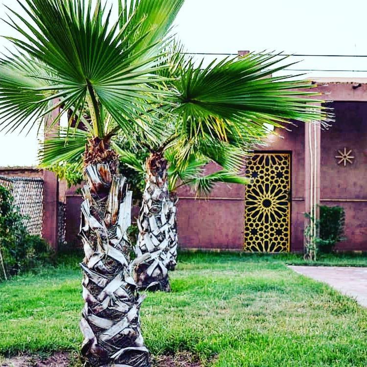 Riad Darga Rouge Ouled Bouzid Exteriér fotografie